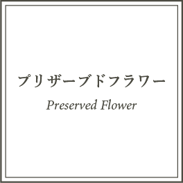 Preserved Flower プリザーブドフラワー